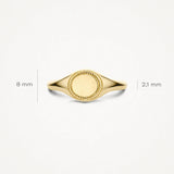 14kt horizontale zegelring met patroon