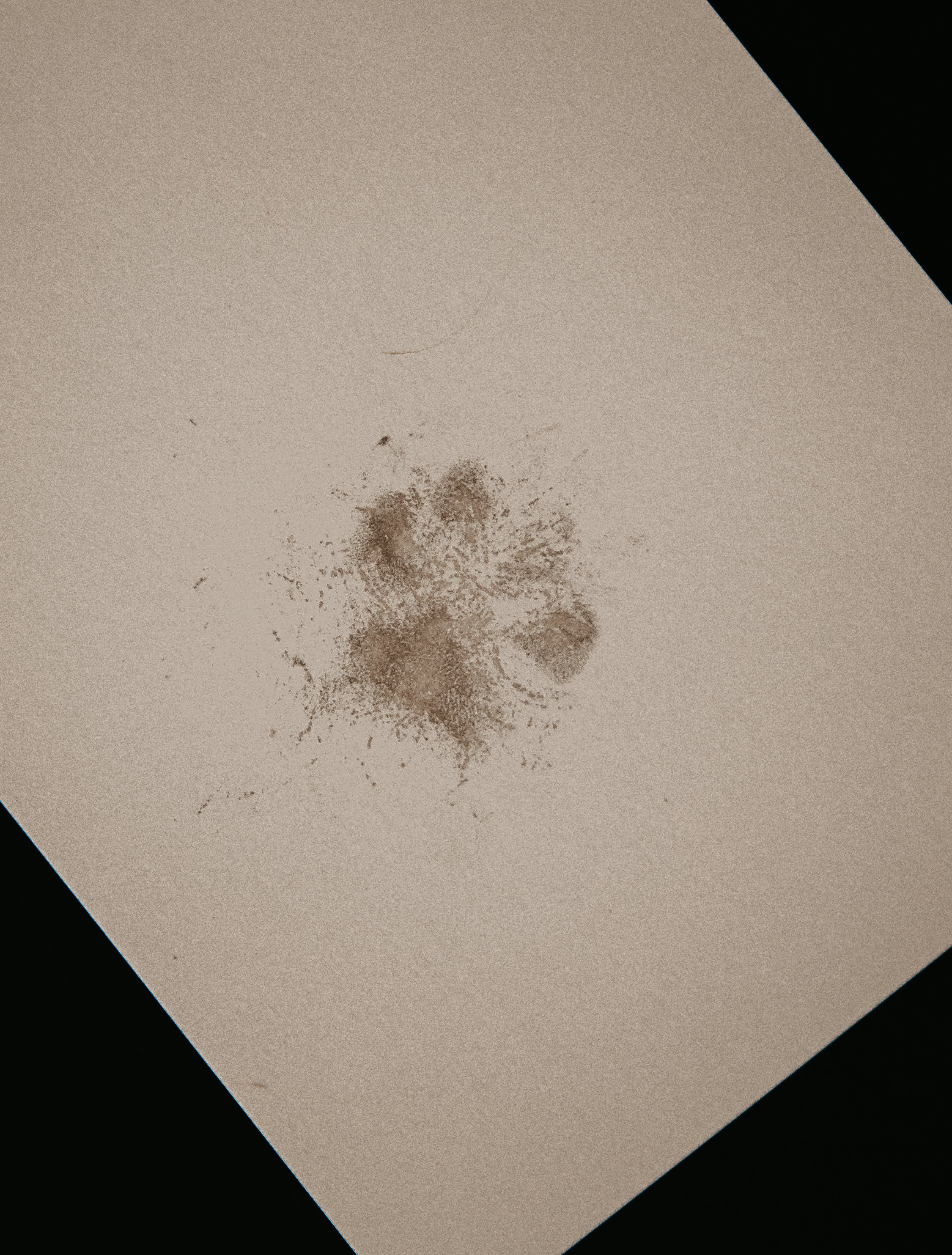 Imprint Kit