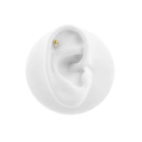 Sospeso Piercing | 18 Karaat Goud
