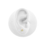 Vicino Piercing | 18 Karat Gold