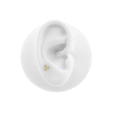 Cluster Piercing | 18 Karat Gold