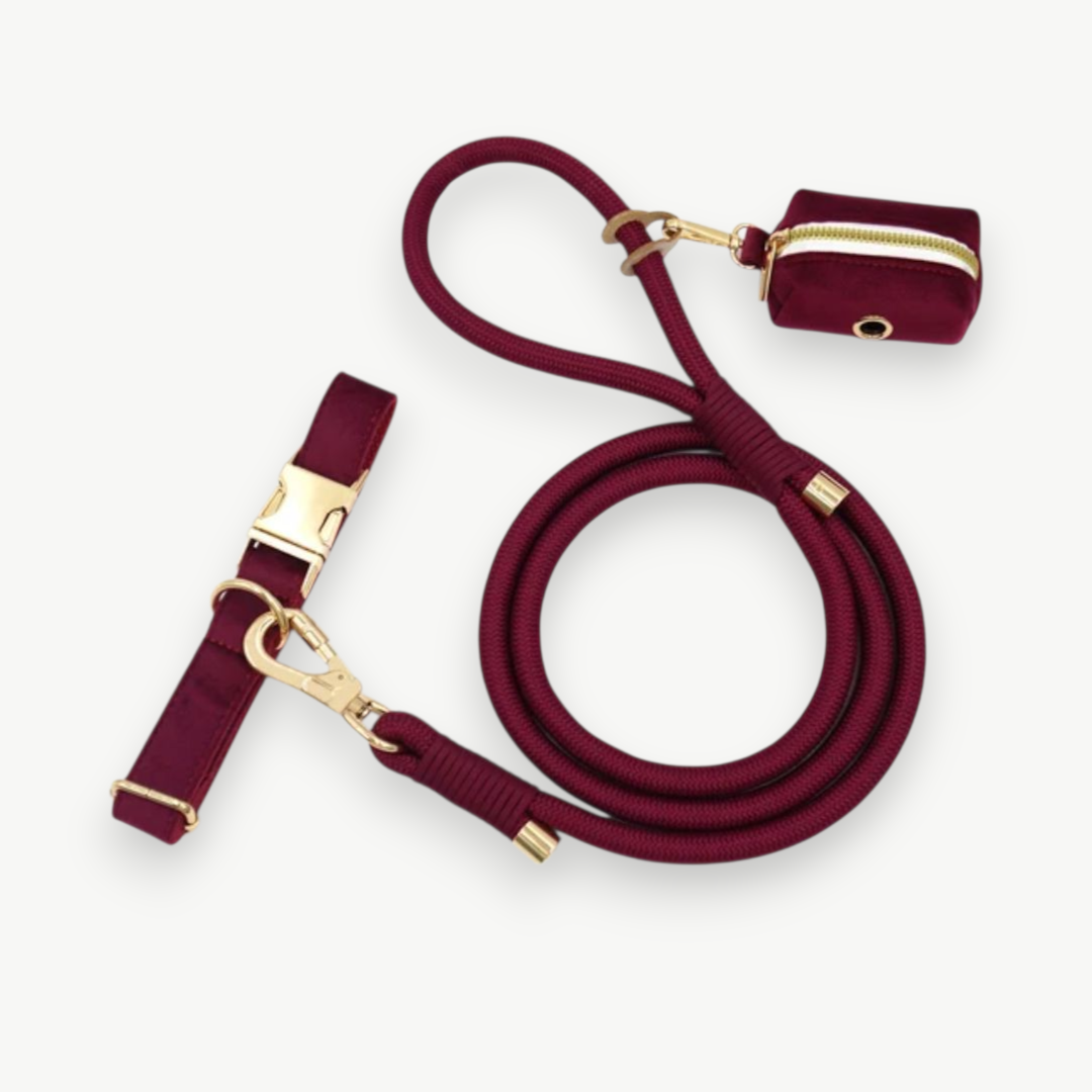 Honden Leiband + zakje