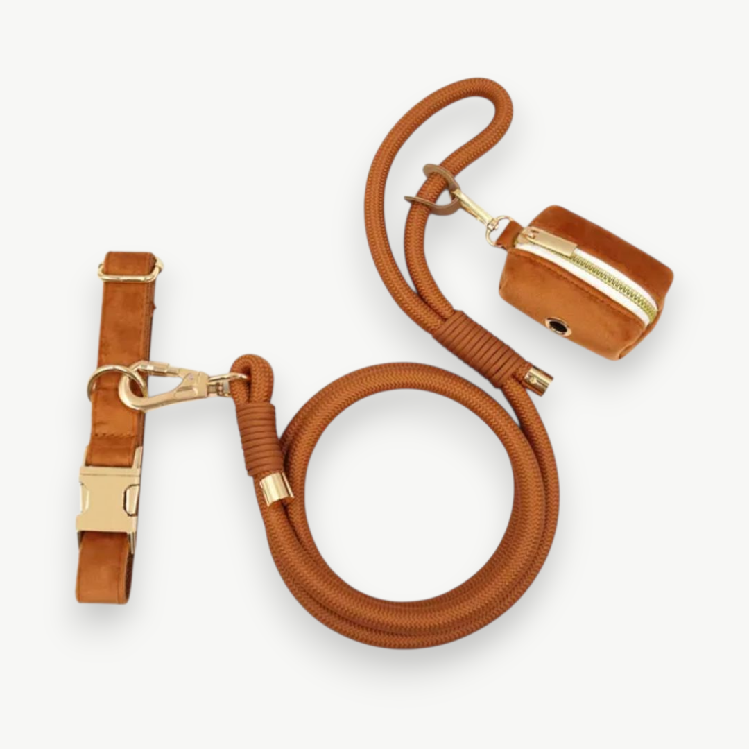 Honden Leiband + zakje