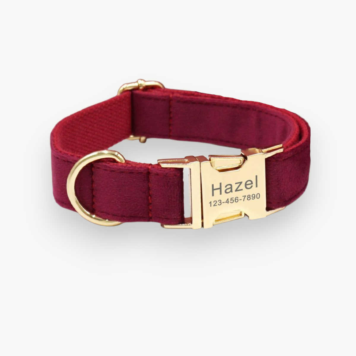 Gepersonaliseerde Honden Halsband