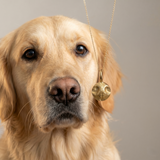 3D Imprint Ketting Dieren en andere prints