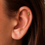 Piercing Due Volti - Bunny & Bear