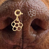 Snoot Bloom Bedel